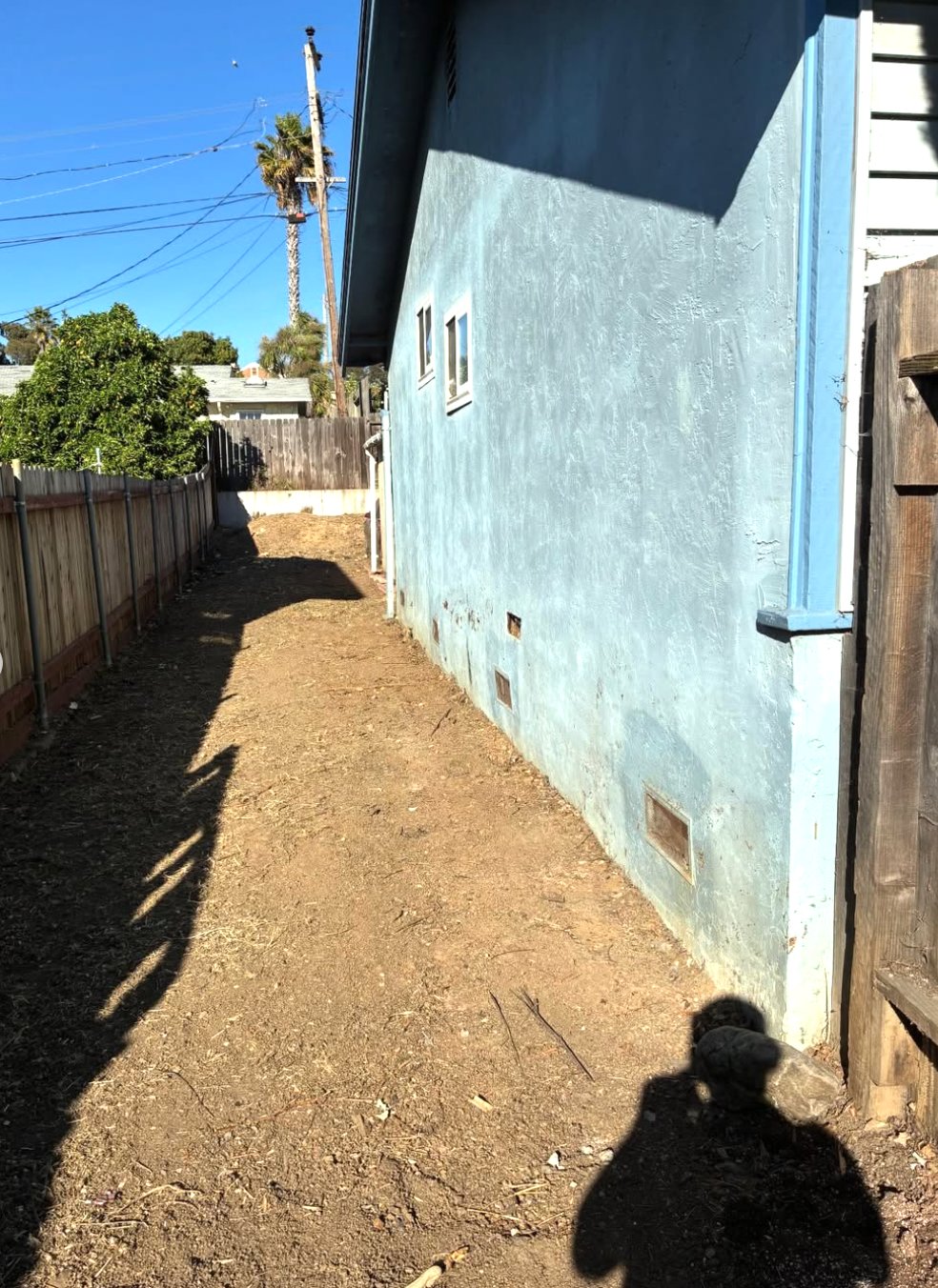 After - Backyard Cleanout