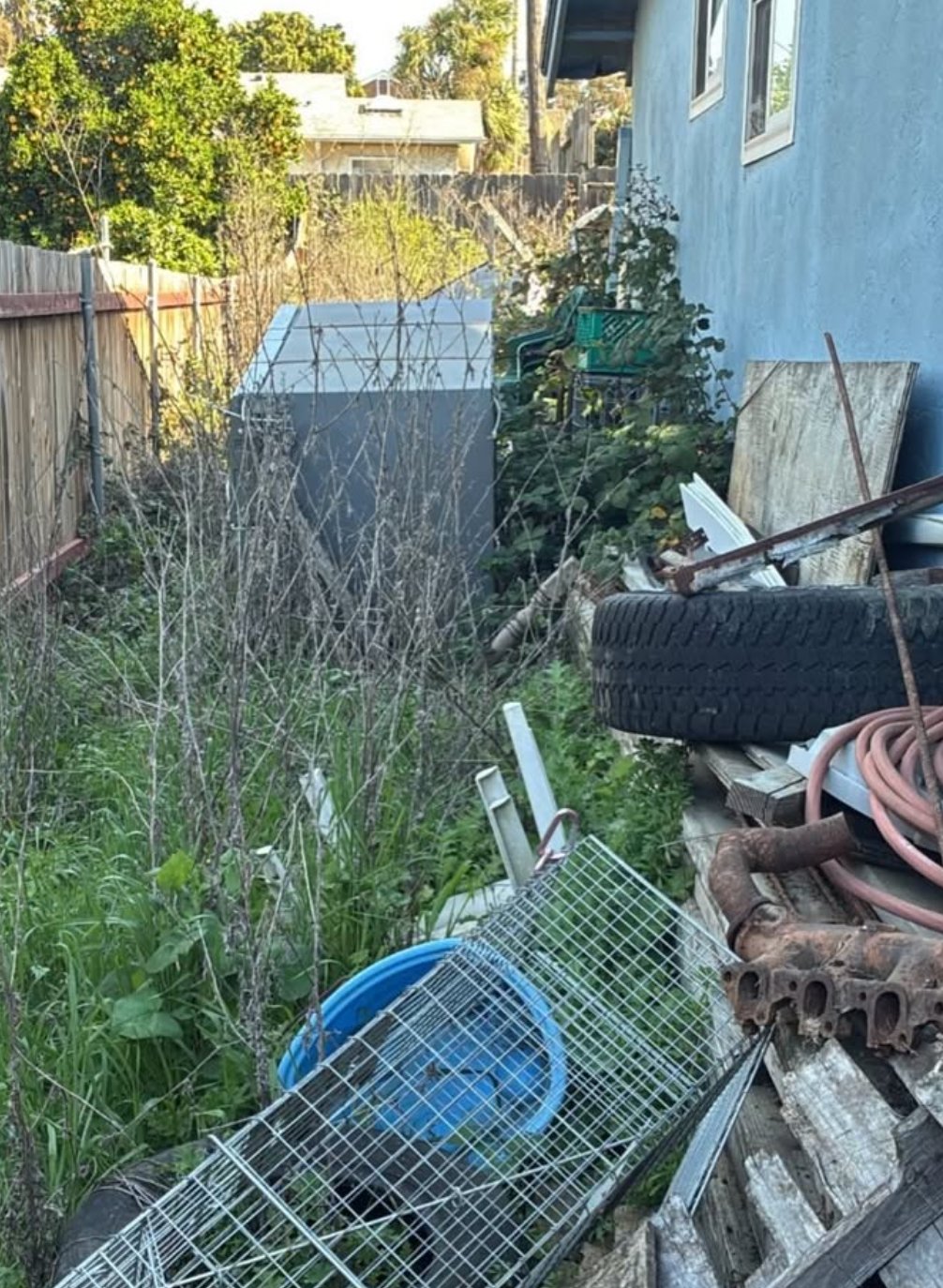 Before - Backyard Cleanout