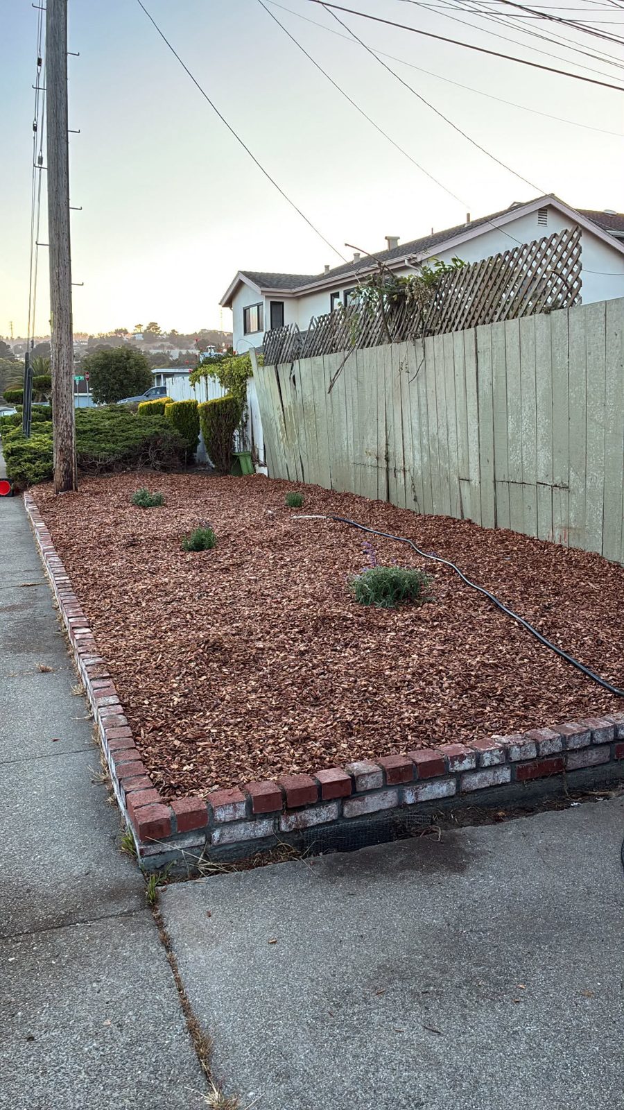 After - Front Yard Mulch & Cleanup