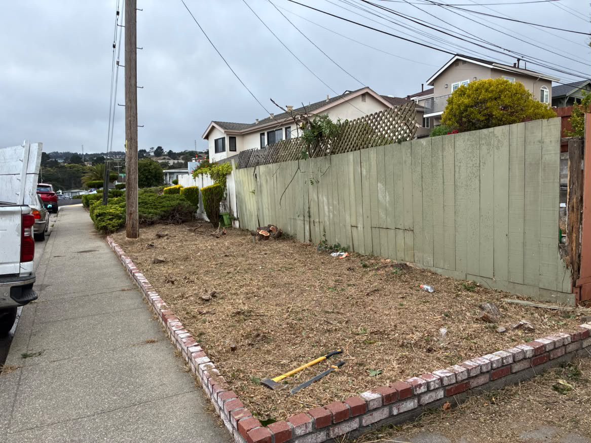Before - Front Yard Mulch & Cleanup
