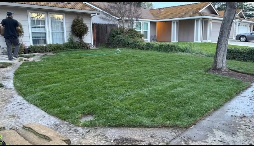 After - Landscaping & Sod Installation