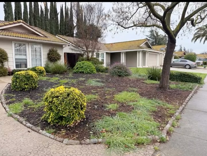 Before - Landscaping & Sod Installation