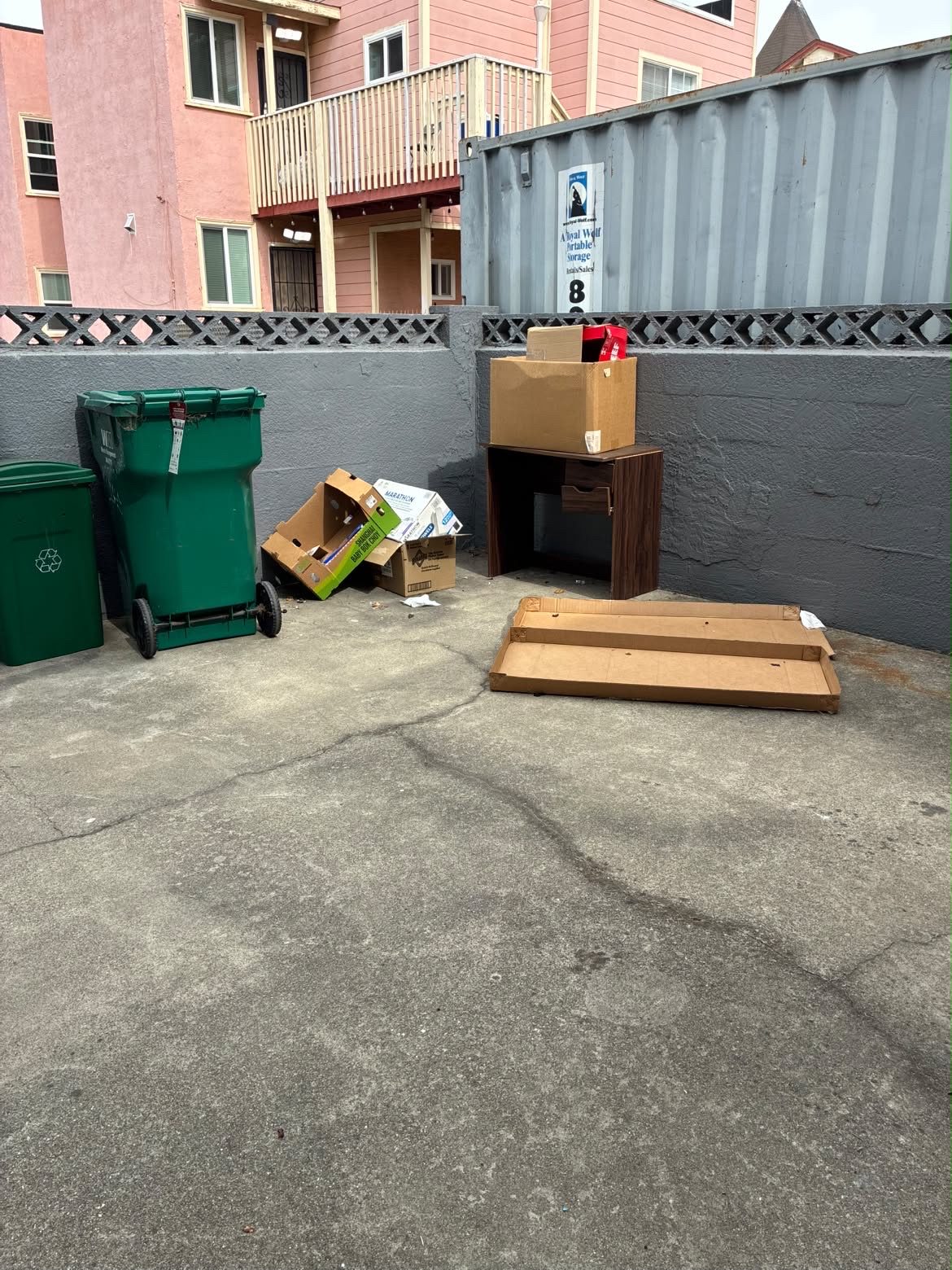 Before - Backyard Junk Removal