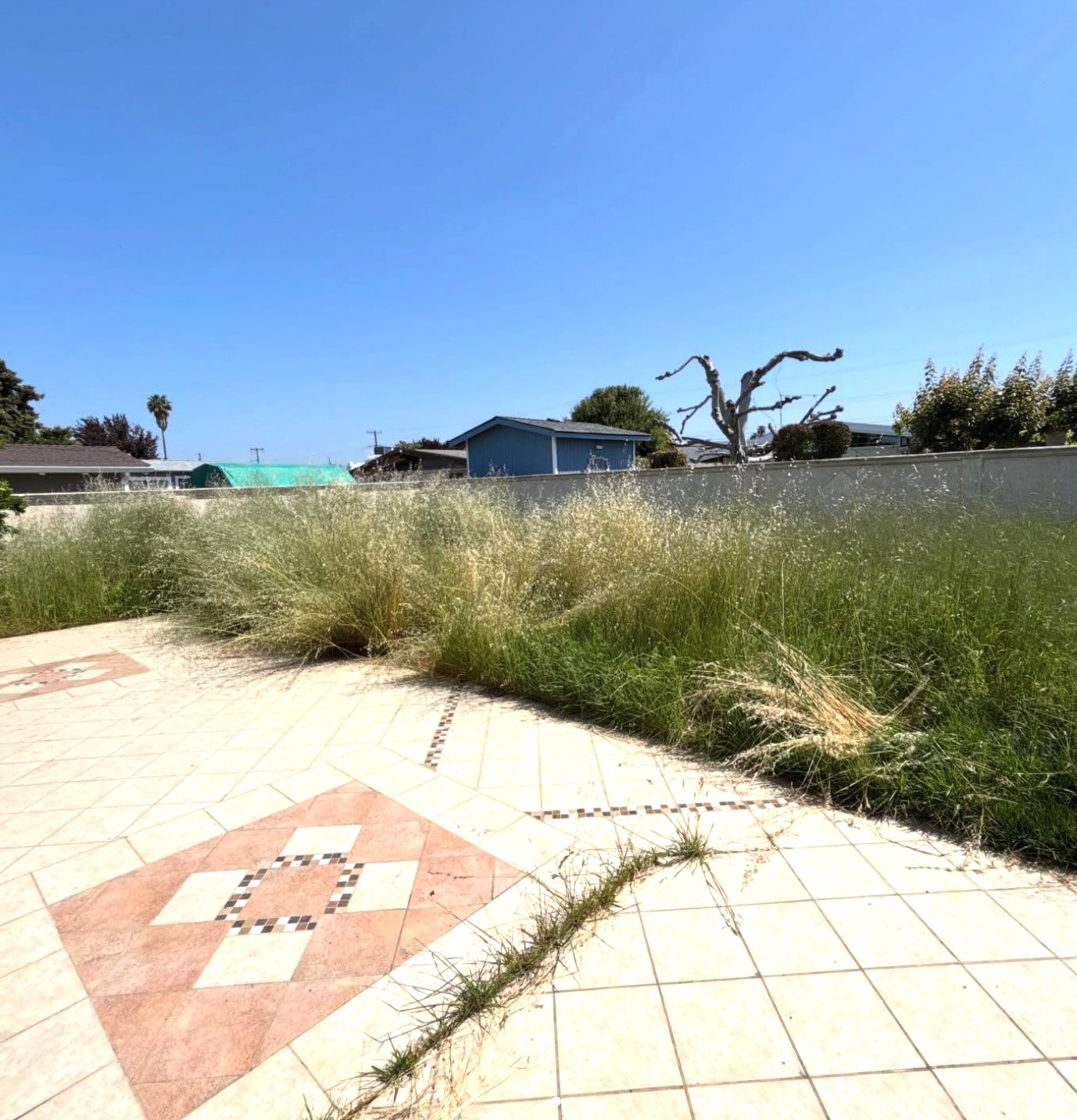 Before - Lawn Mowing & Maintenance