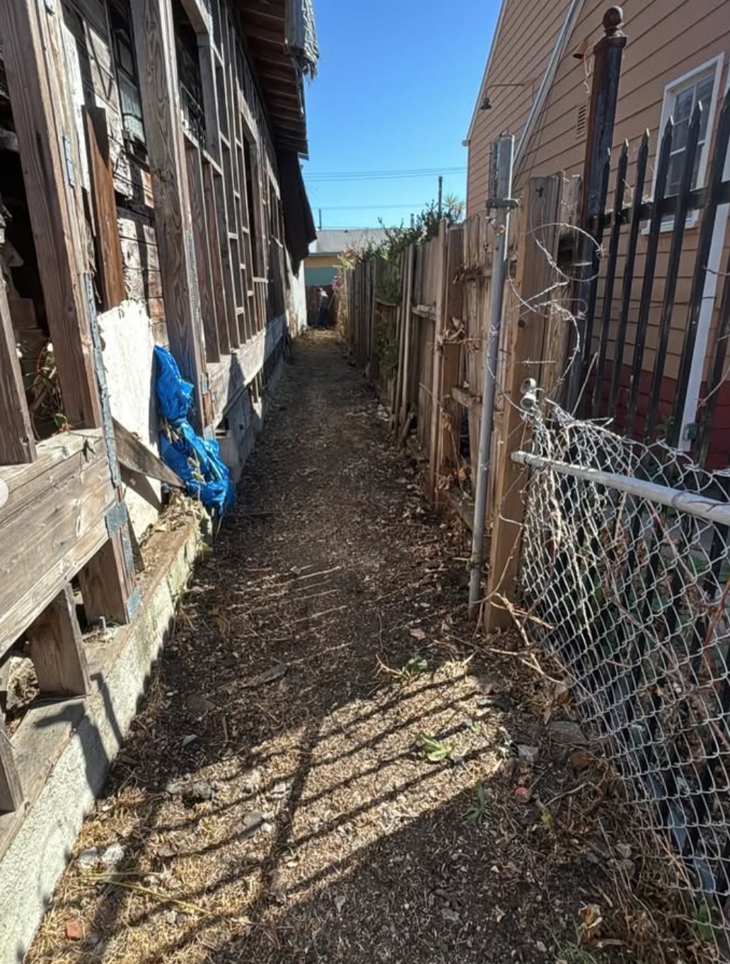 After - Side Yard Clearing