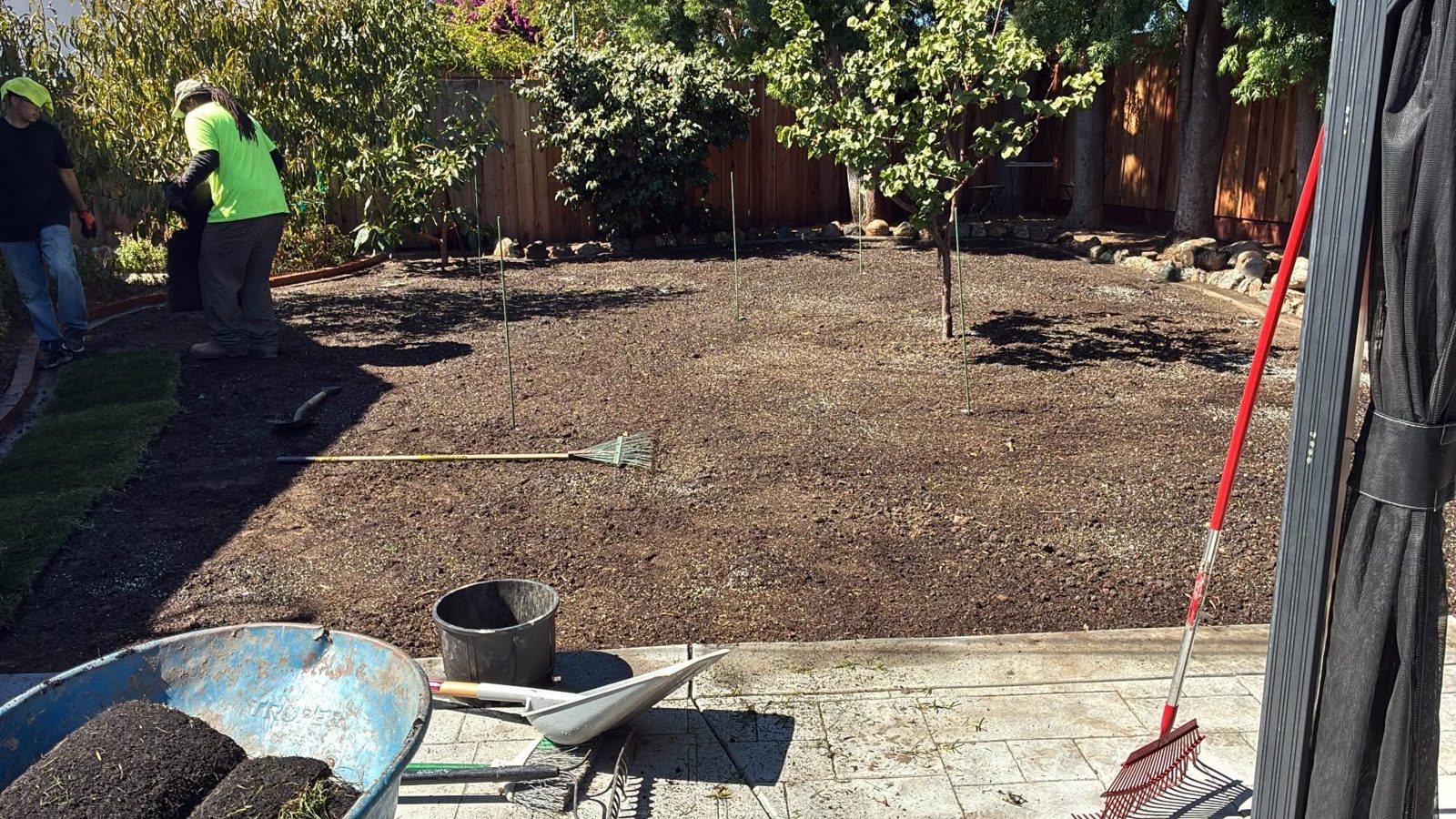 Before - Backyard Sod Transformation