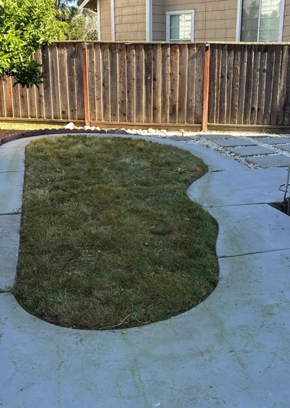 After - Yard Cleanup & Sod